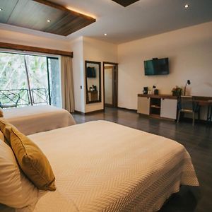 Suite Superior